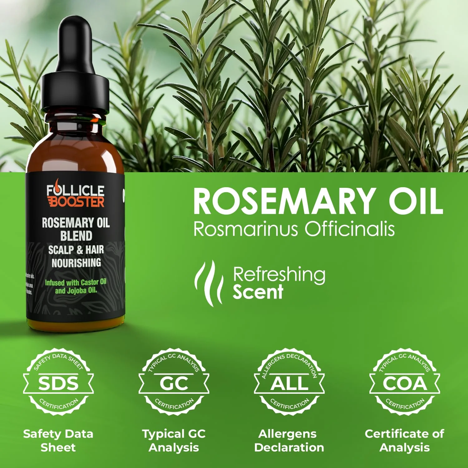 Rosemary Oil for Hair Growth - Image 3